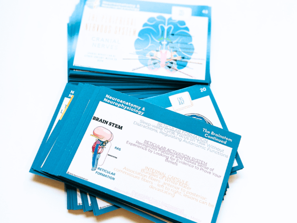 Neuroanatomy & Neurophysiology Deck - Image 2