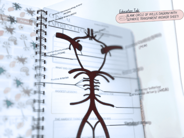 2024-2025 EEG Student Planner, Continuing Education Tracker, and Professional Development Journal. - Image 3